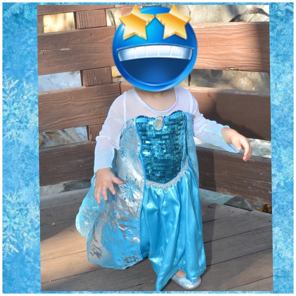 Custom Princess Elsa Costume Dress